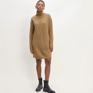 Everlane The Cozy Stretch Turtleneck Sweater Dress